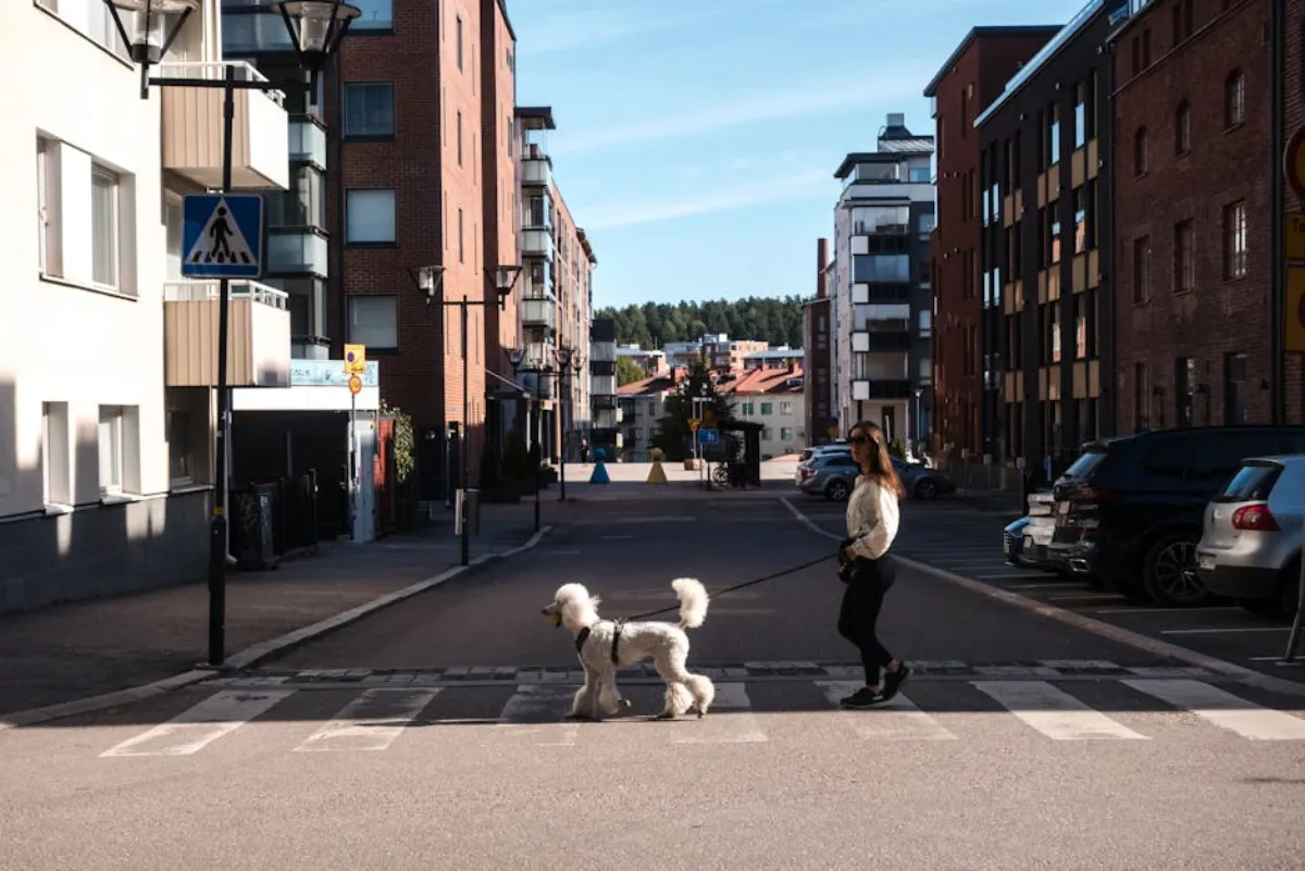 Dammsugning av soffa med HEPA-dammsugare för att minska husdjursallergen
